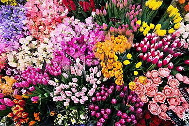 《巫兎》免费登陆Steam 美少女刀剑对战BOSS